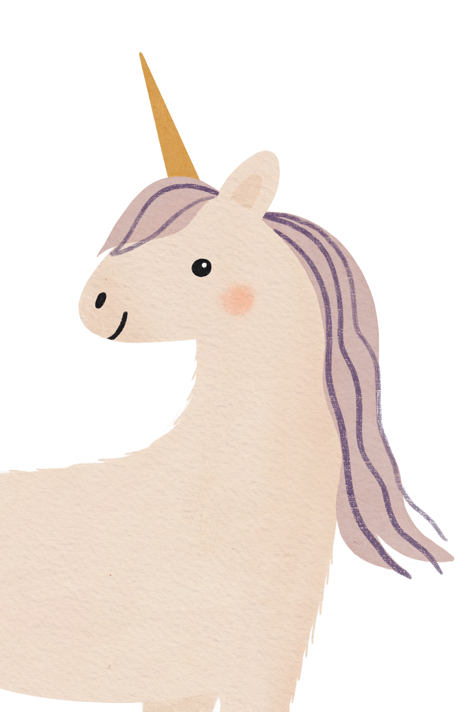 Rainbows, Unicorns & Fairies