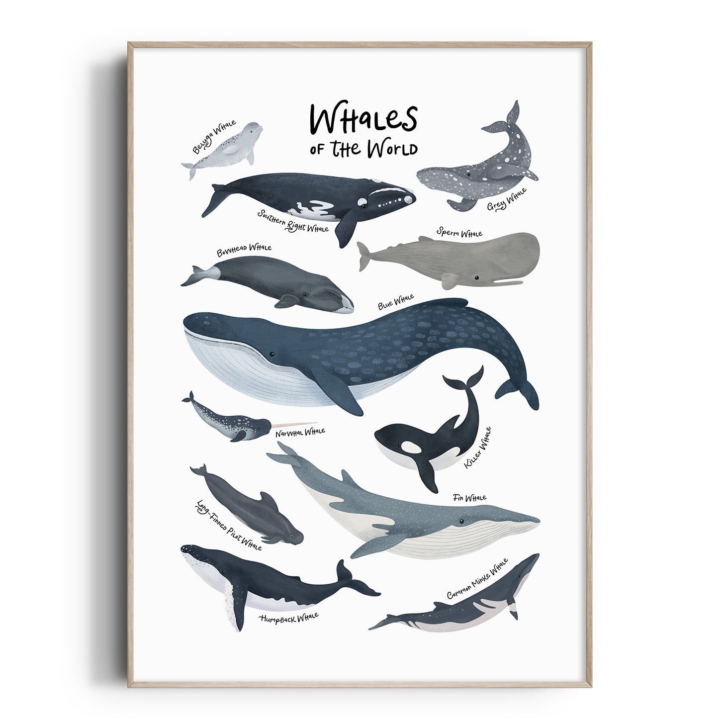 Whales of The World Print