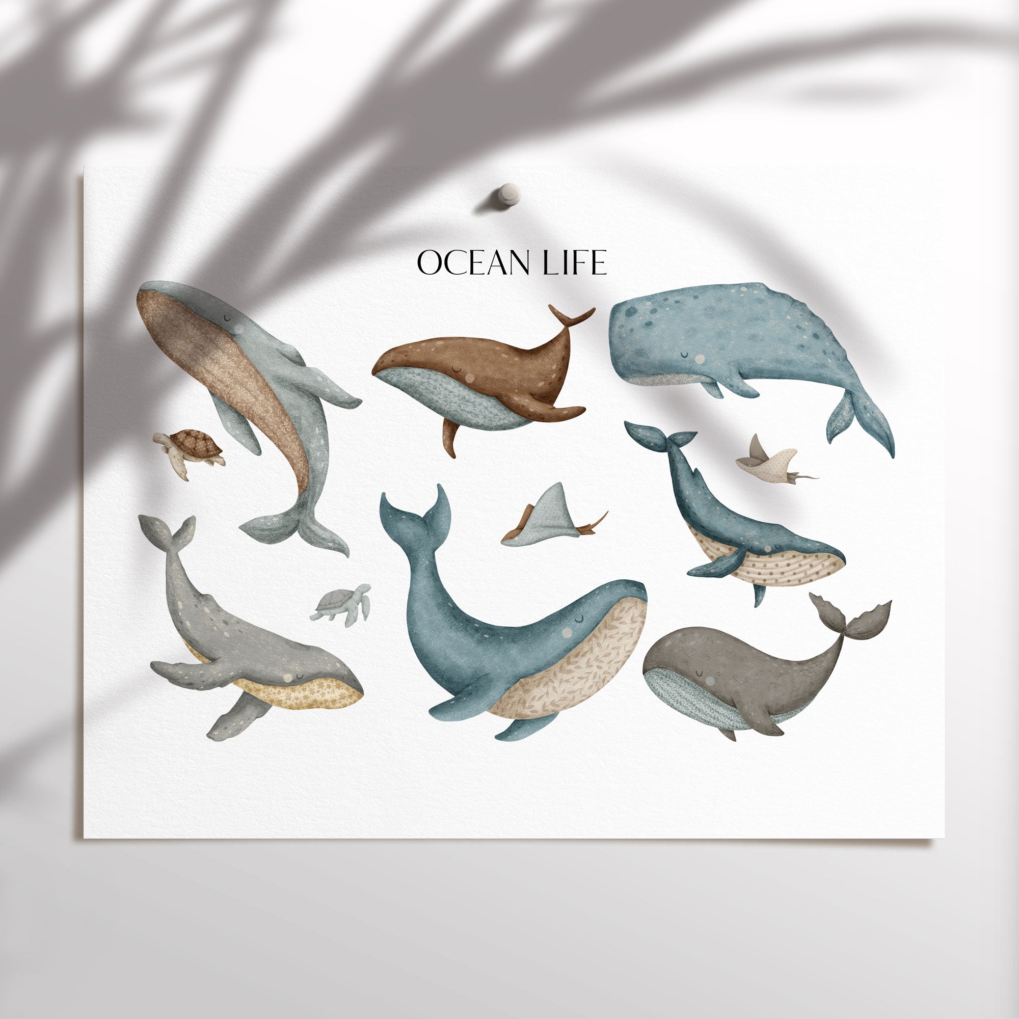 Ocean Life Print