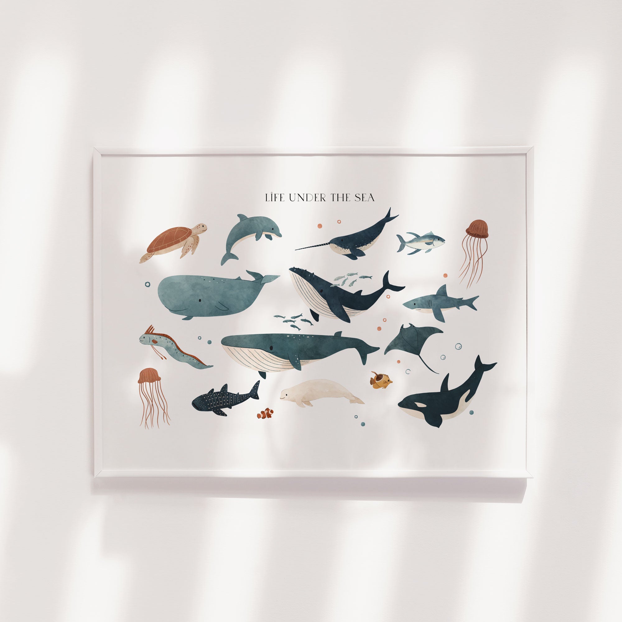 Ocean Animals Print