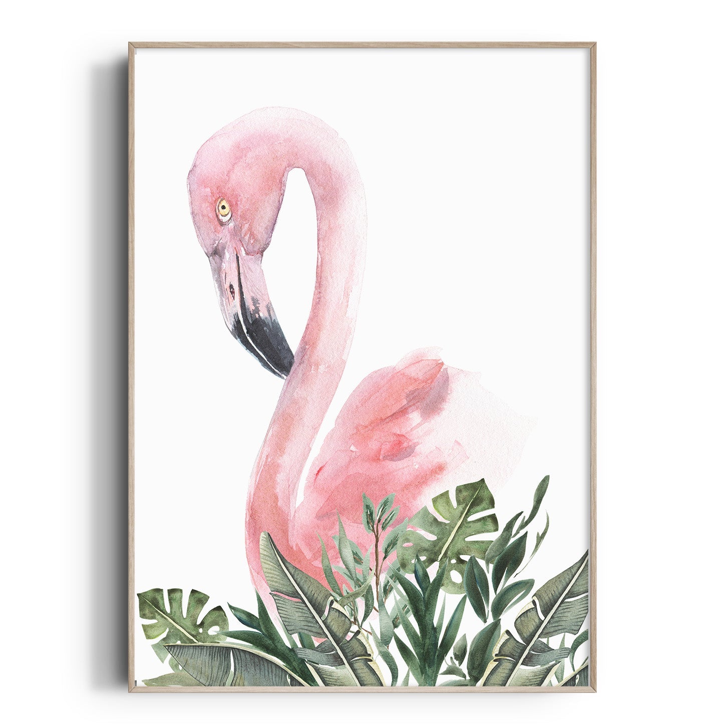 Flamingo  Print